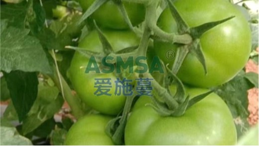 水溶肥怎么使用效果好？掌握三個使用技巧