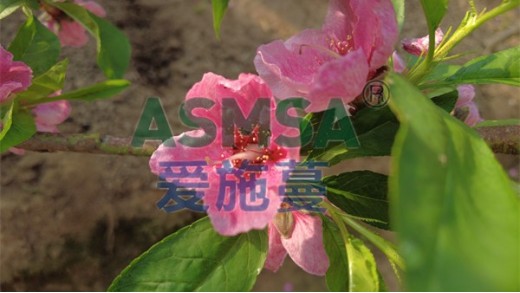 水溶肥怎么選擇？這兩點很重要