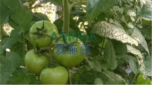 微生物菌劑的作用，你知道多少？