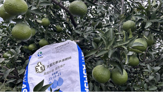 果樹施肥的關(guān)鍵