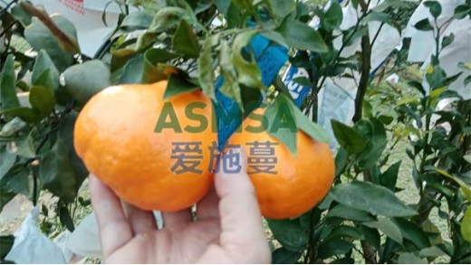 水溶肥廠家該怎么選？要注意什么？
