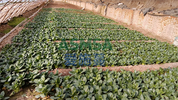 水溶肥選擇哪個(gè)品牌好？