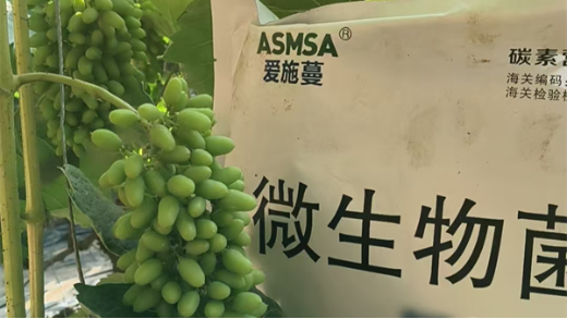 微生物菌劑在葡萄種植上使用效果如何？
