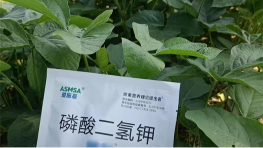 磷酸二氫鉀哪個品牌效果好